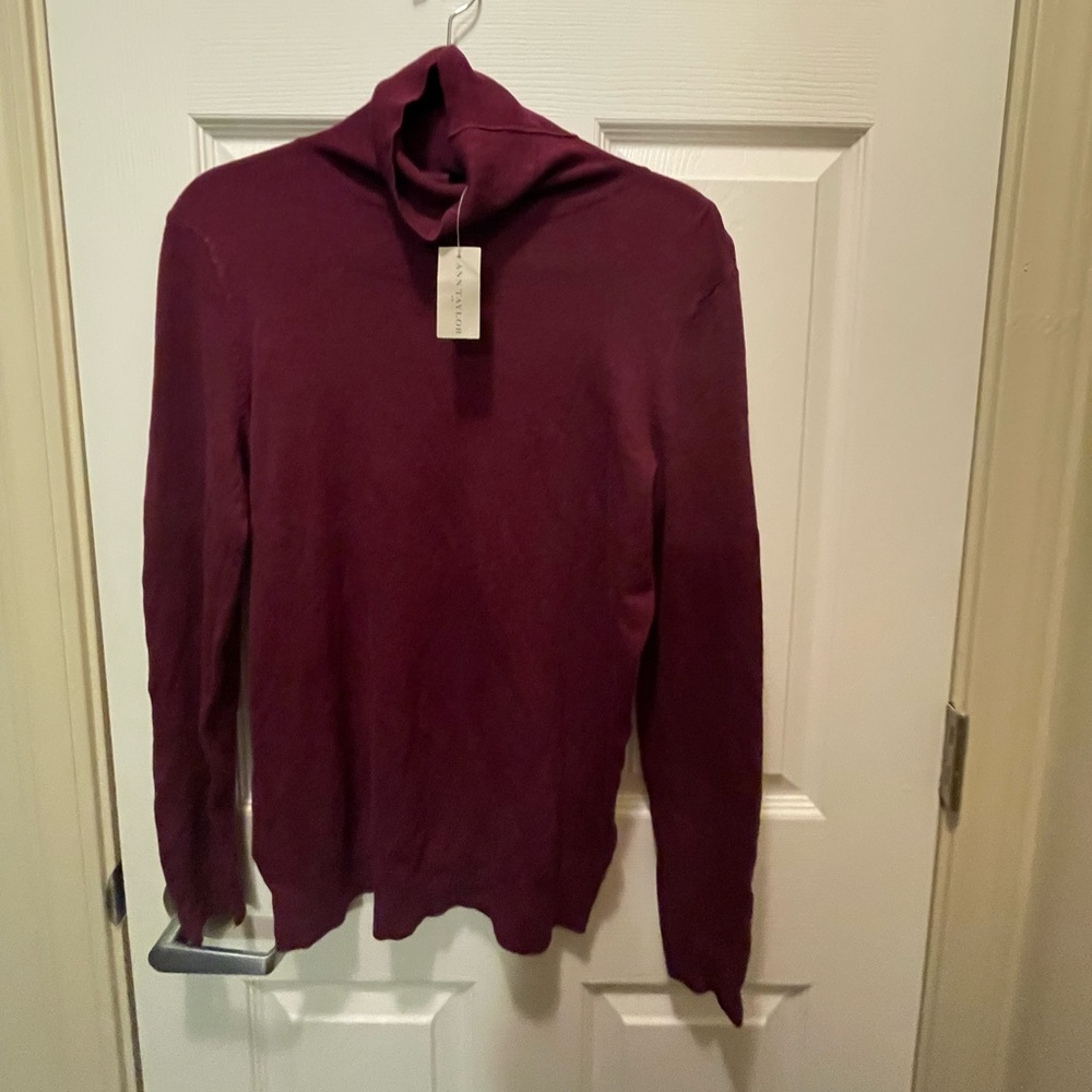 Deep pink Ann Taylor Turtleneck Sweater